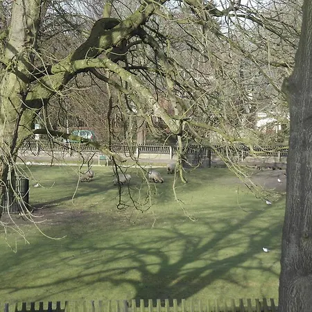 Villa Kagok